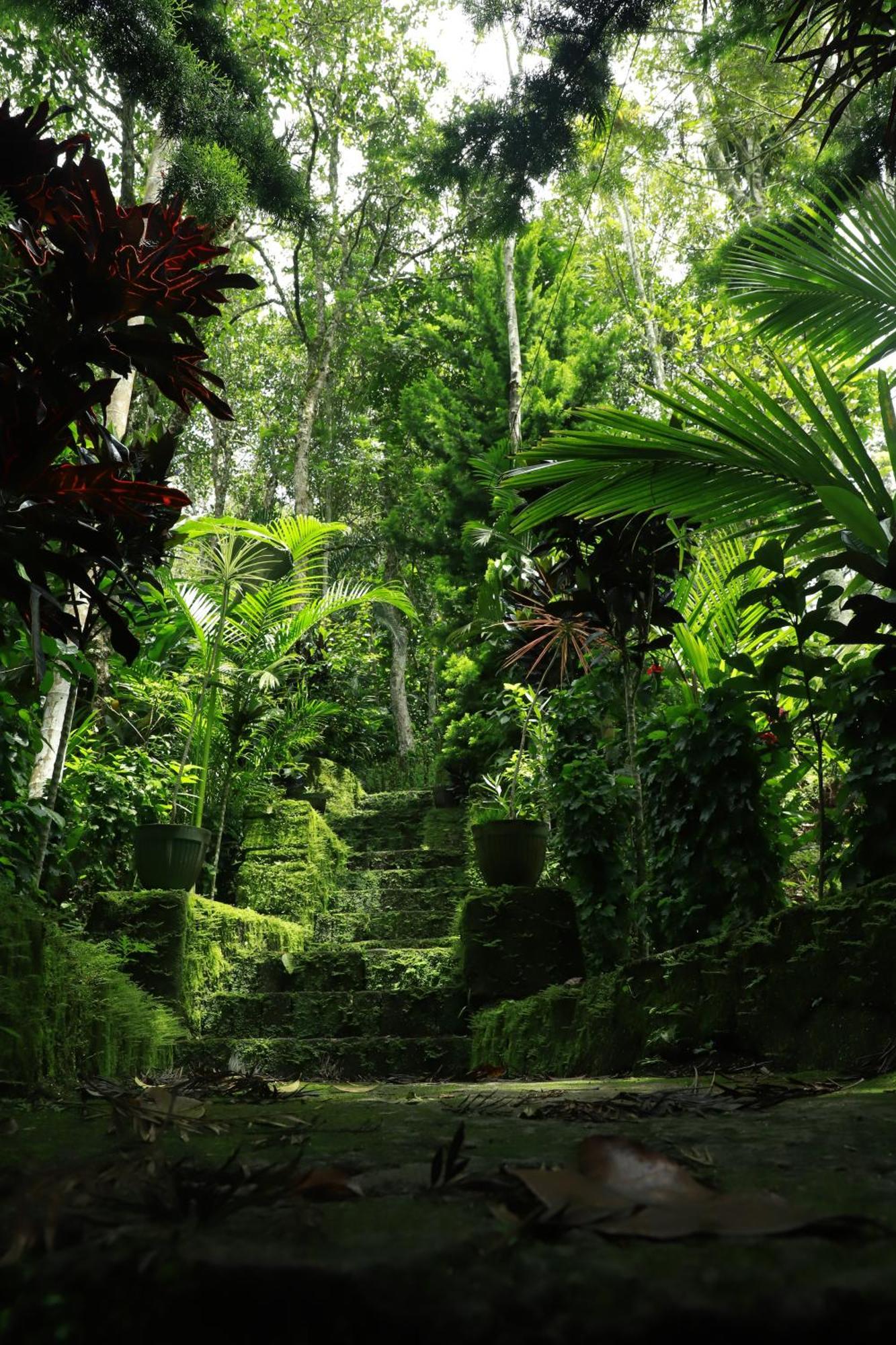 Nature Villa Anachal Exterior foto
