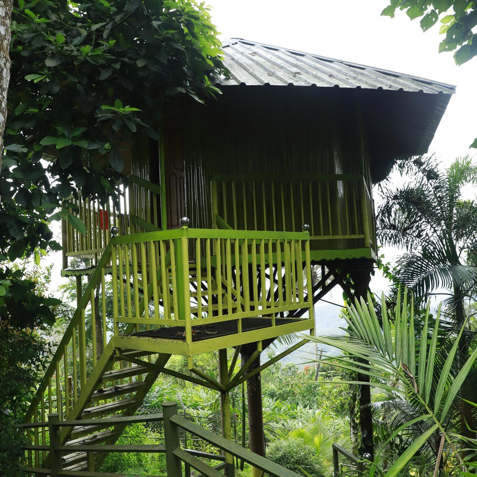 Nature Villa Anachal Exterior foto